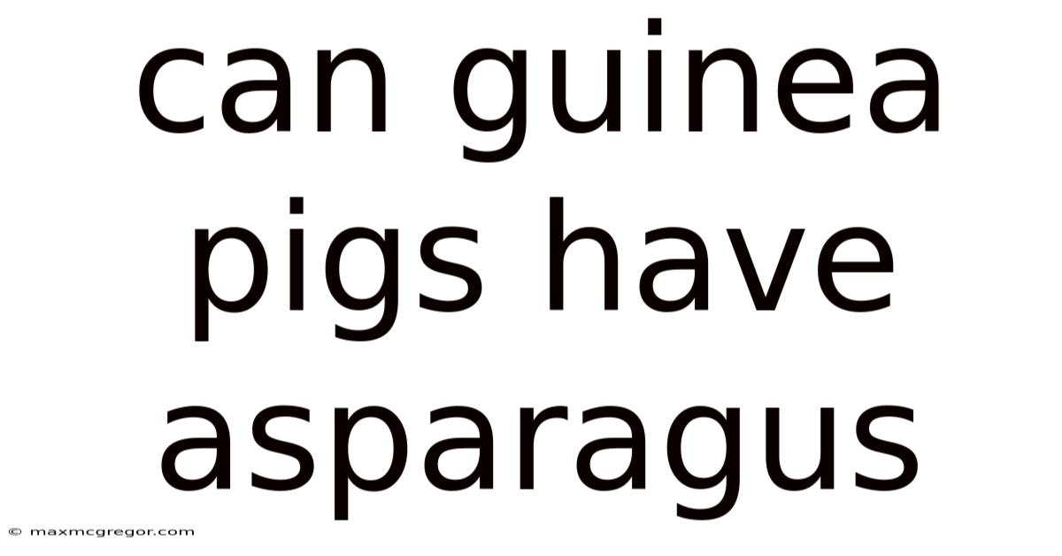 Can Guinea Pigs Have Asparagus