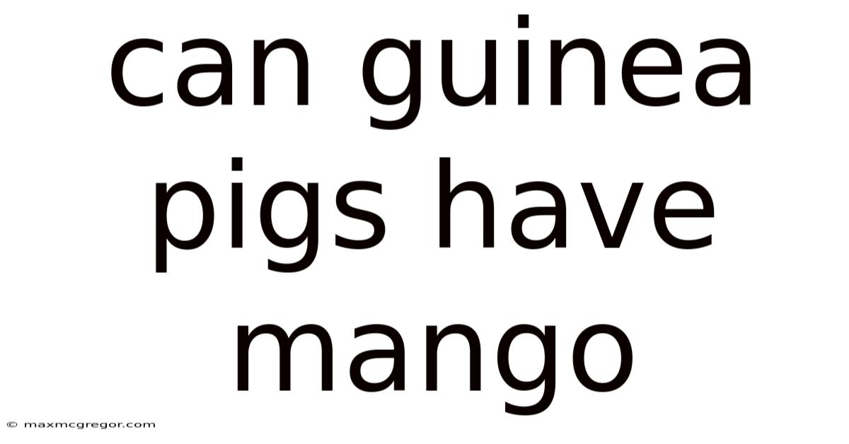 Can Guinea Pigs Have Mango