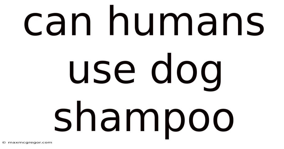 Can Humans Use Dog Shampoo