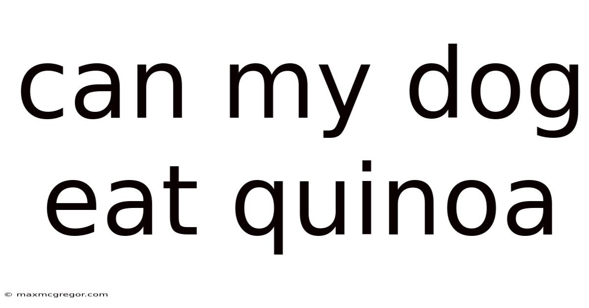 Can My Dog Eat Quinoa