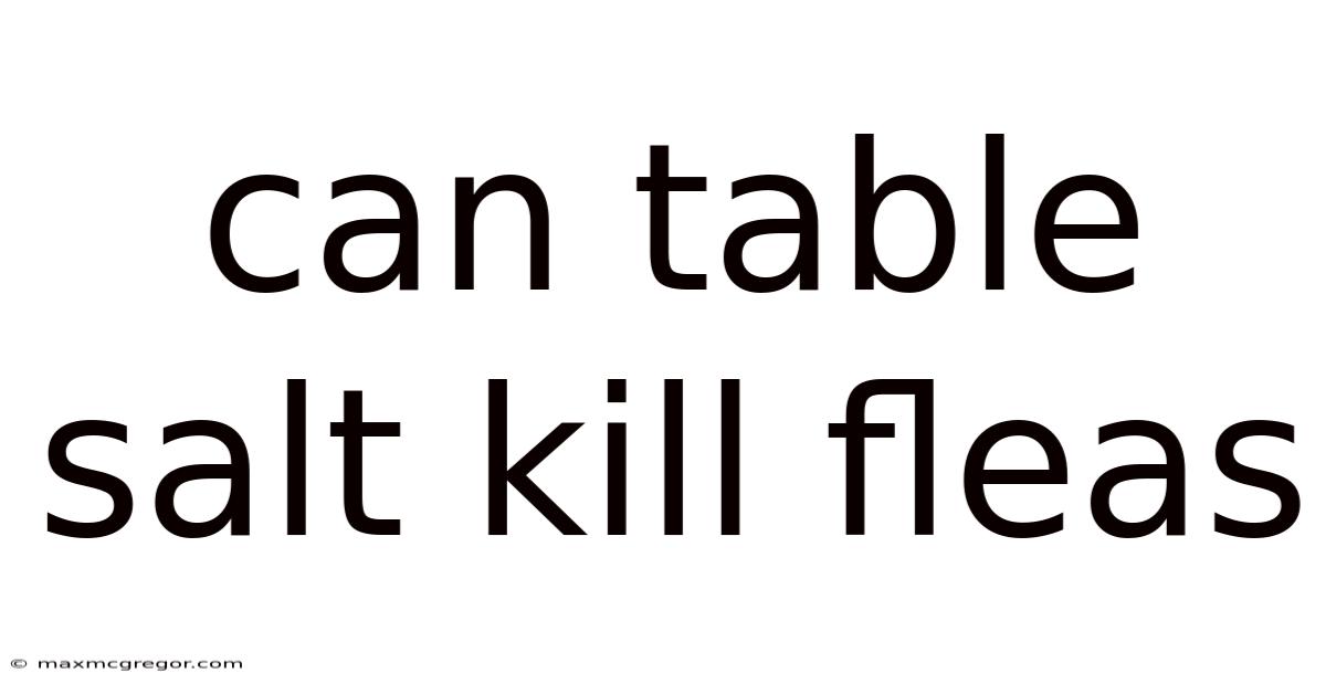 Can Table Salt Kill Fleas