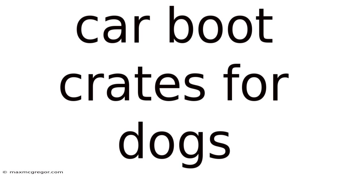 Car Boot Crates For Dogs