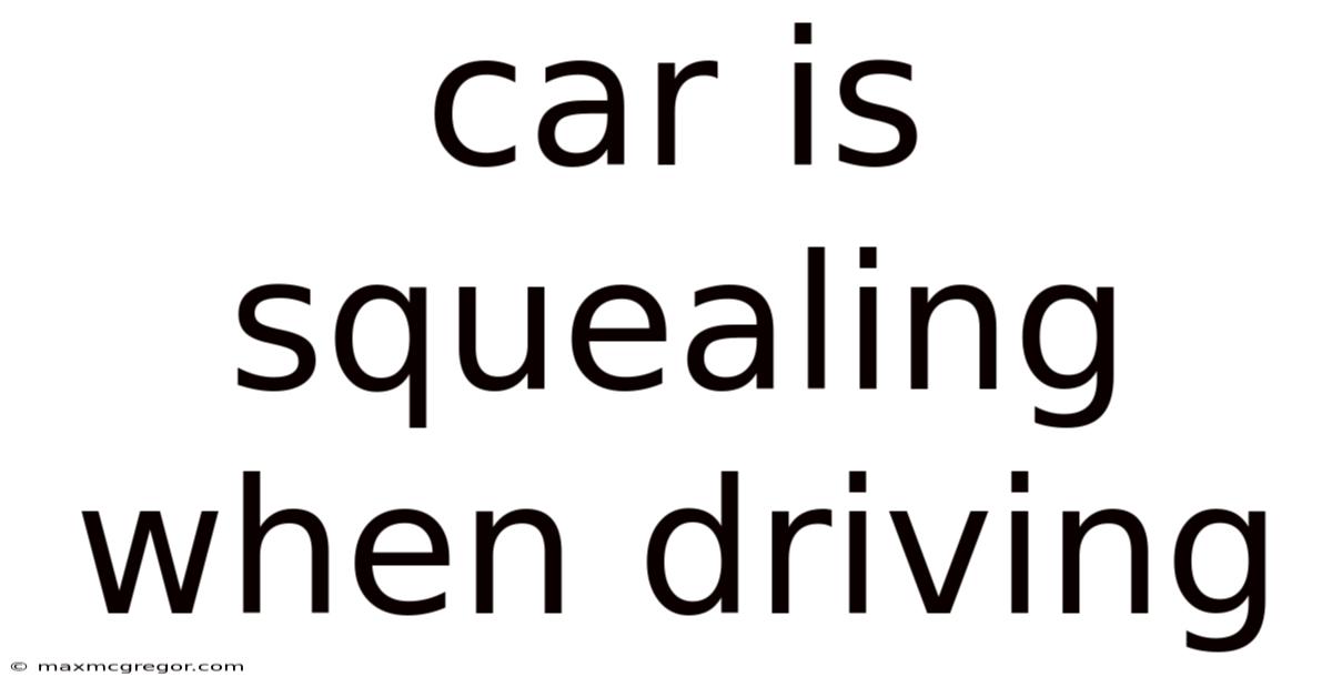 Car Is Squealing When Driving