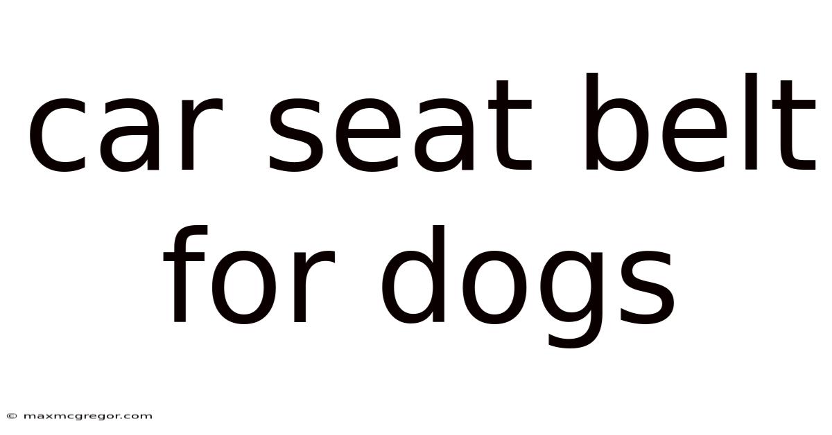Car Seat Belt For Dogs