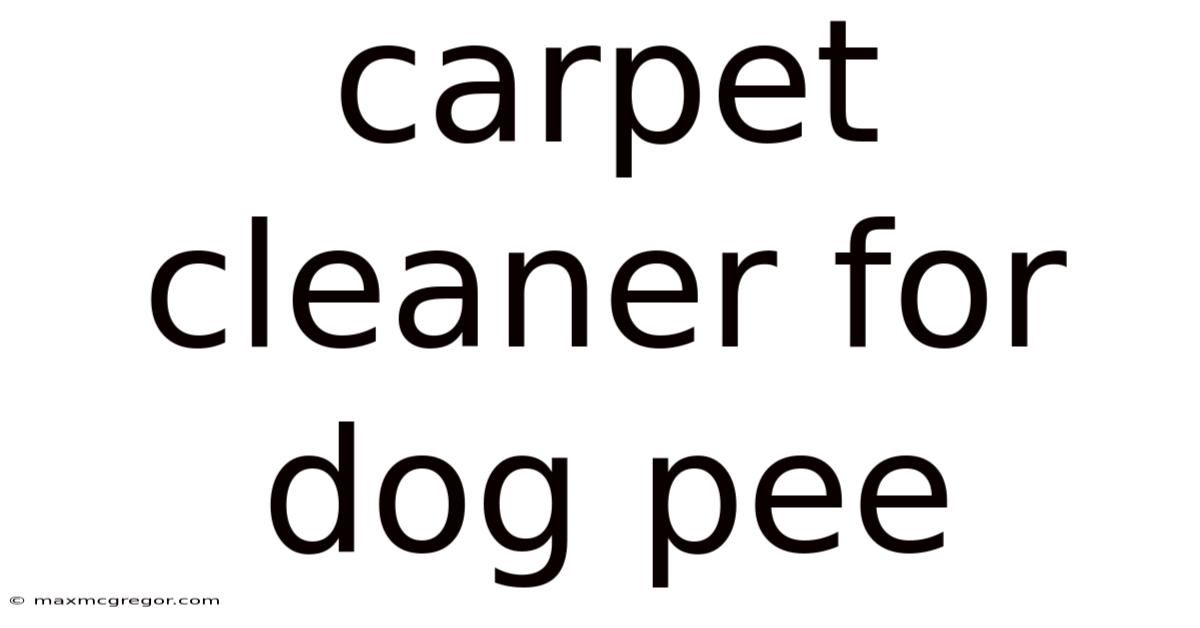 Carpet Cleaner For Dog Pee