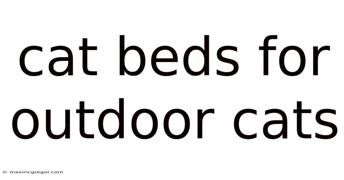 Cat Beds For Outdoor Cats