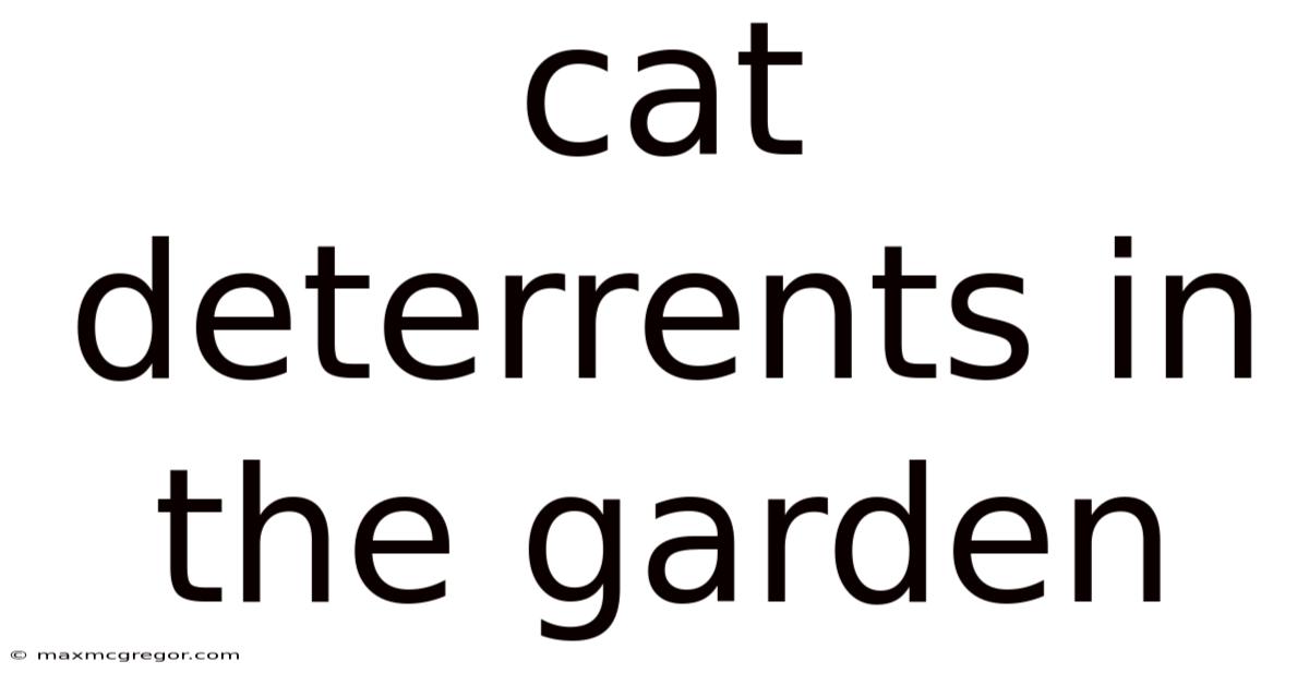 Cat Deterrents In The Garden