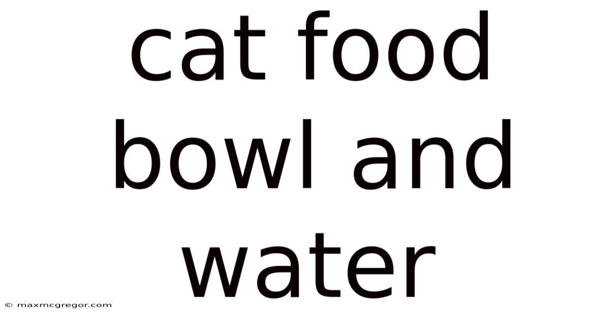 Cat Food Bowl And Water