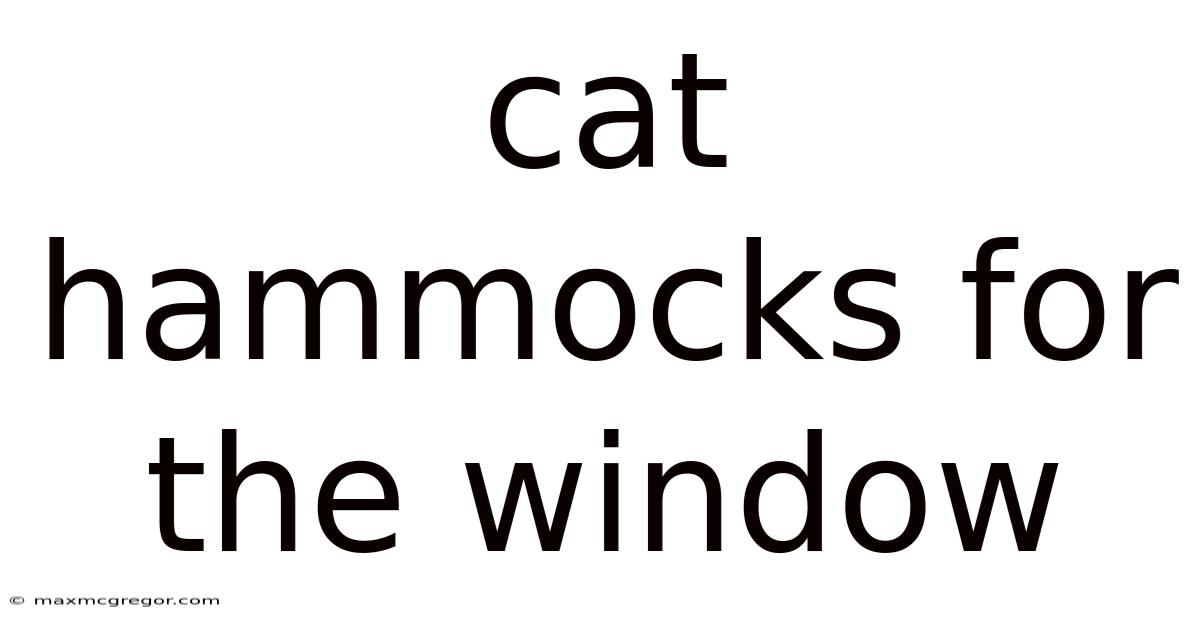 Cat Hammocks For The Window