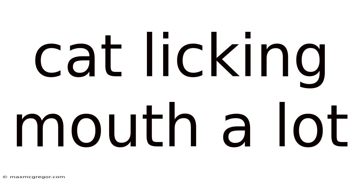 Cat Licking Mouth A Lot