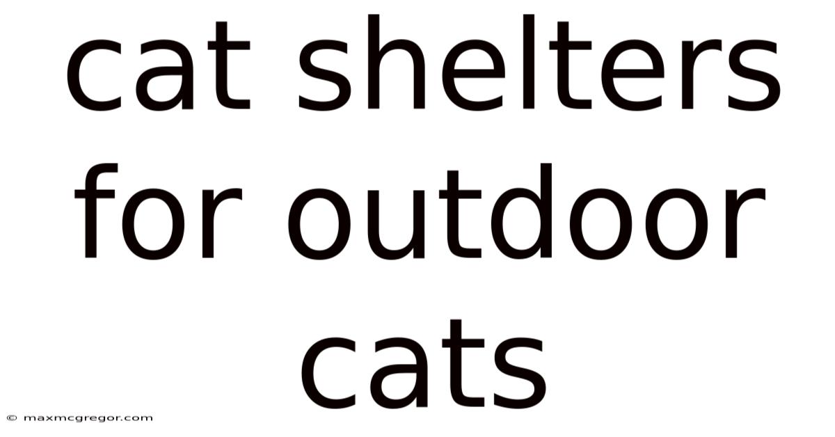 Cat Shelters For Outdoor Cats