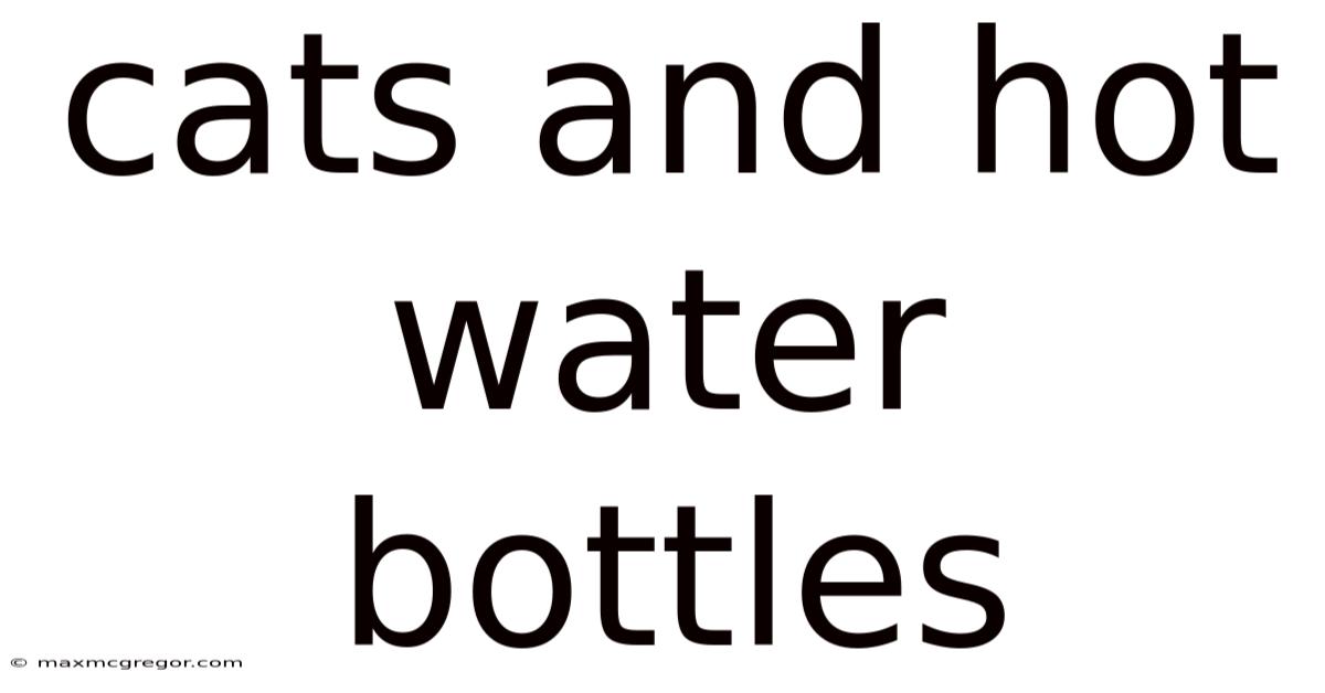 Cats And Hot Water Bottles