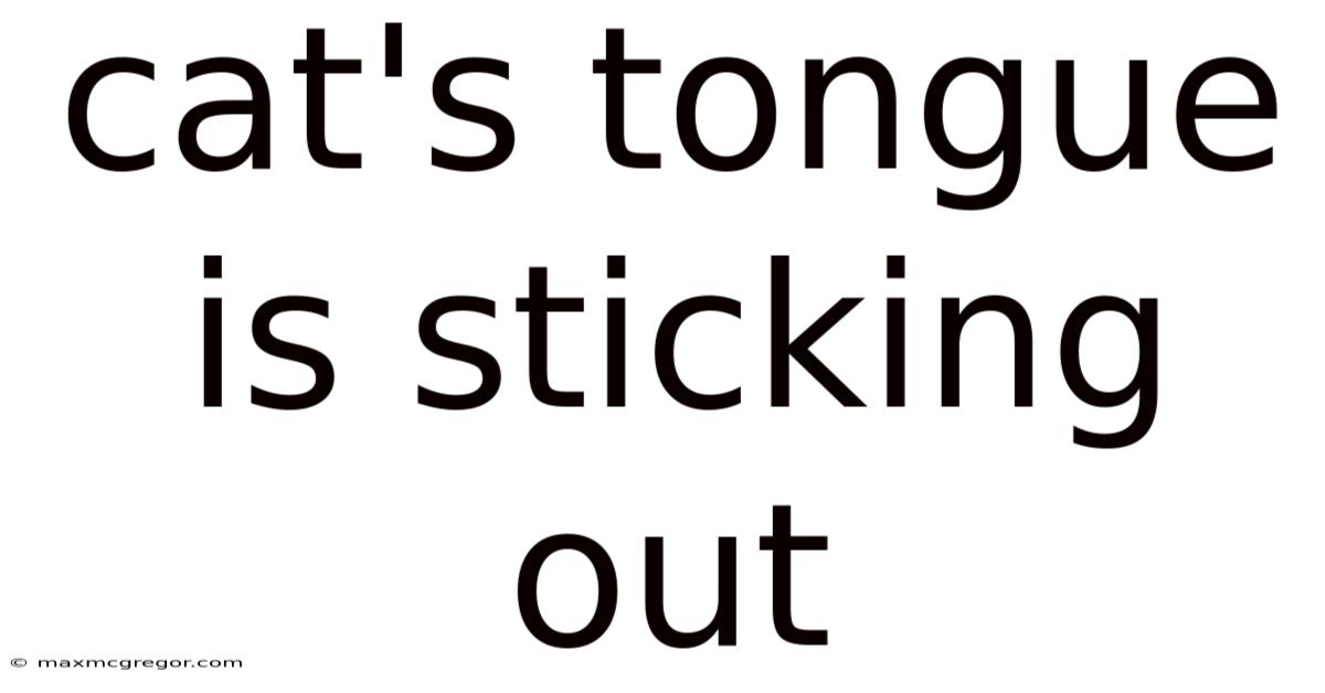 Cat's Tongue Is Sticking Out