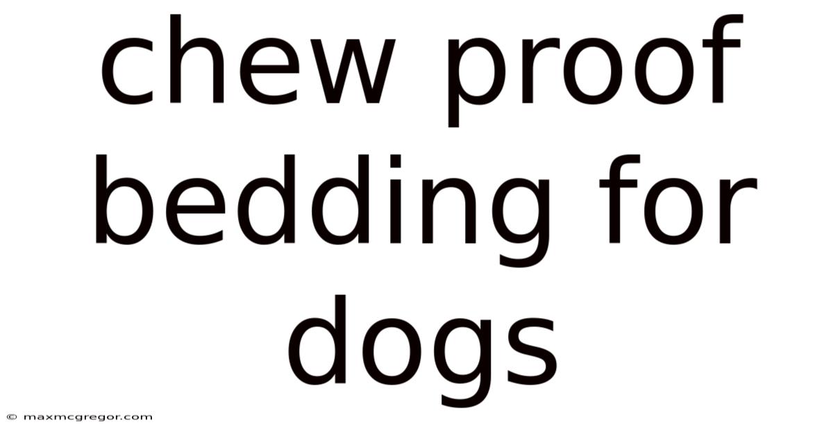Chew Proof Bedding For Dogs