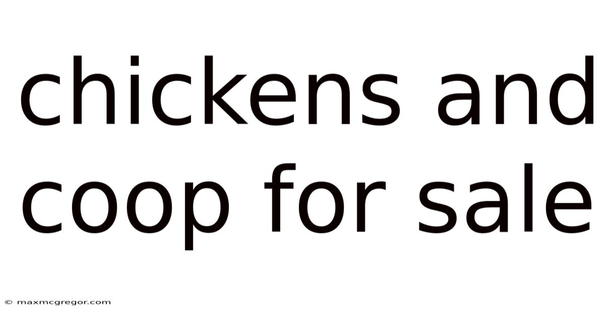 Chickens And Coop For Sale