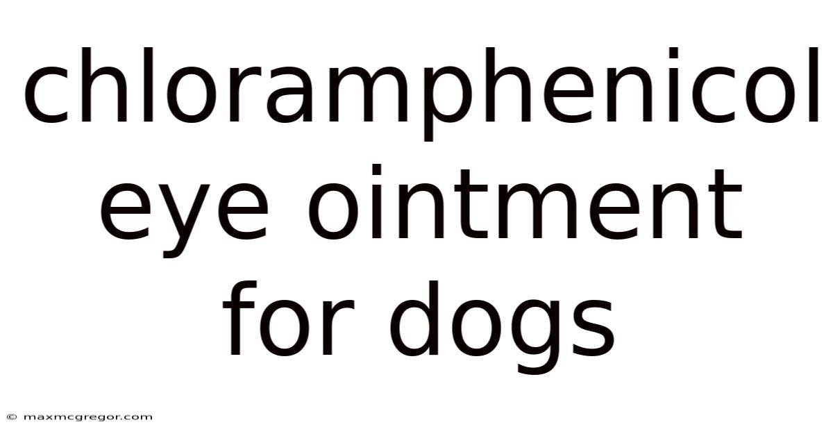 Chloramphenicol Eye Ointment For Dogs