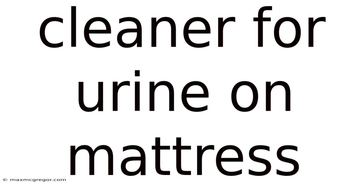 Cleaner For Urine On Mattress
