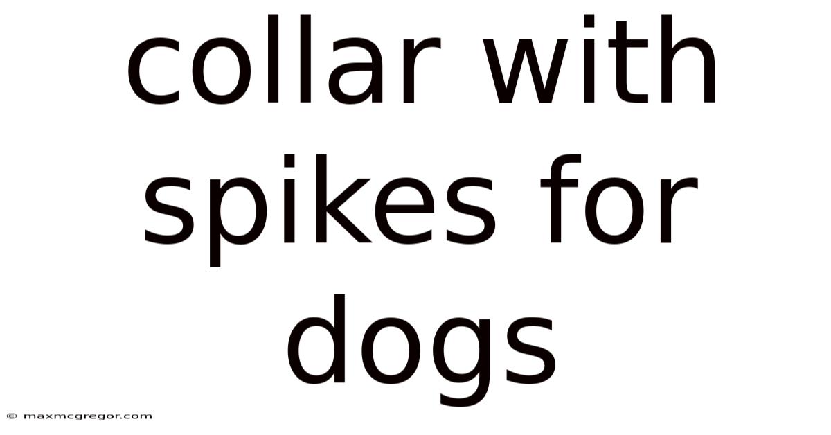 Collar With Spikes For Dogs