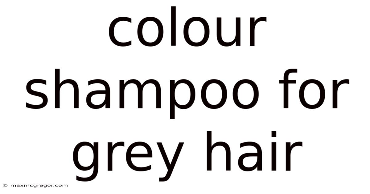 Colour Shampoo For Grey Hair