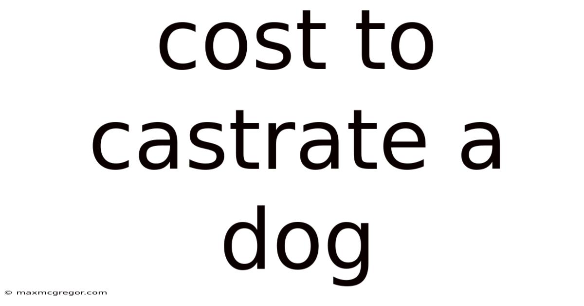 Cost To Castrate A Dog