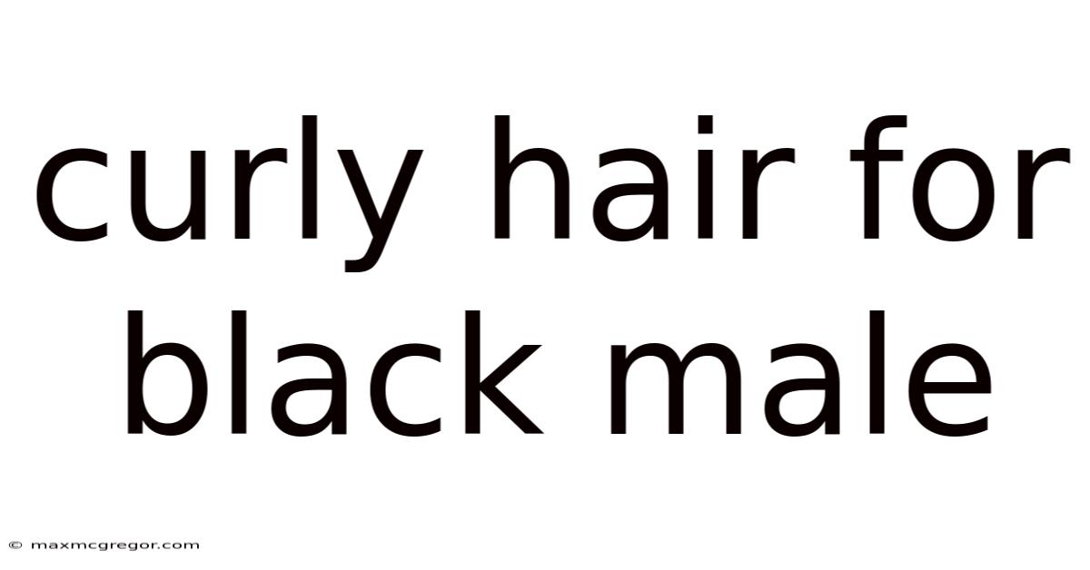 Curly Hair For Black Male