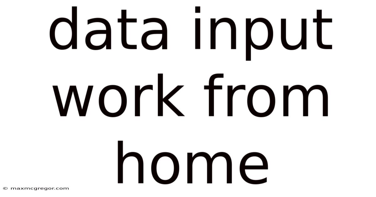 Data Input Work From Home