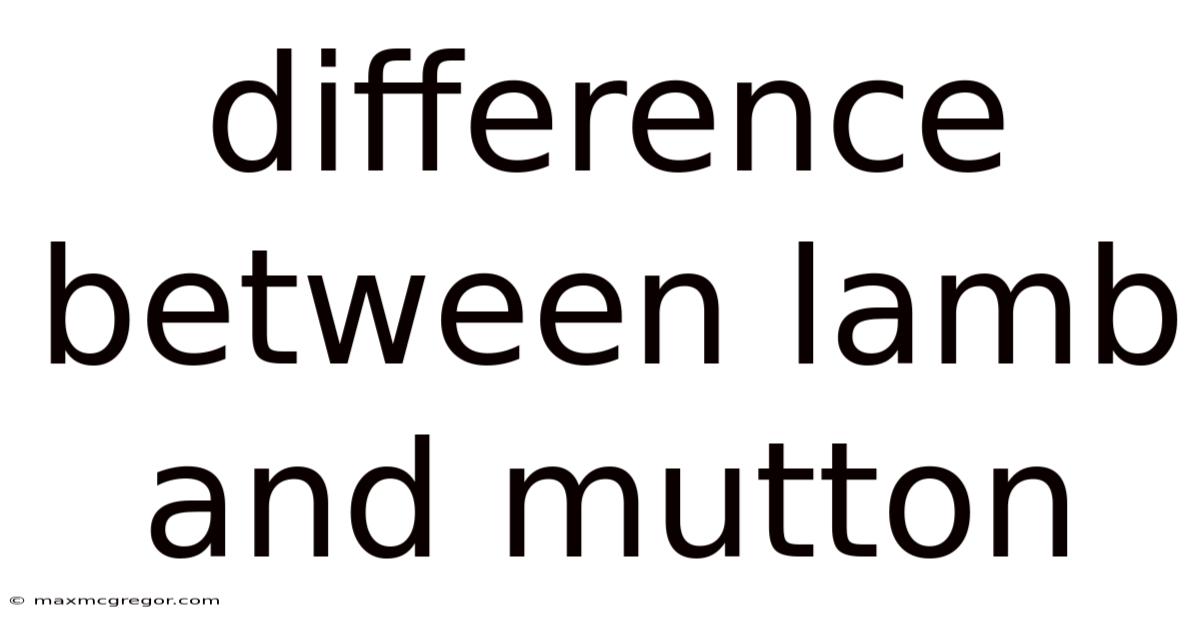 Difference Between Lamb And Mutton