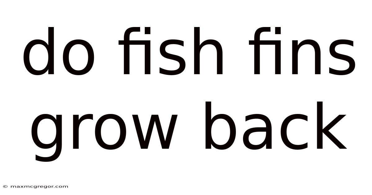 Do Fish Fins Grow Back