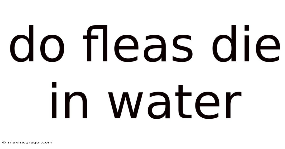 Do Fleas Die In Water
