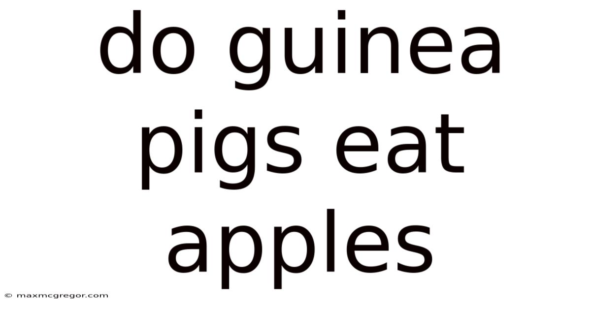 Do Guinea Pigs Eat Apples