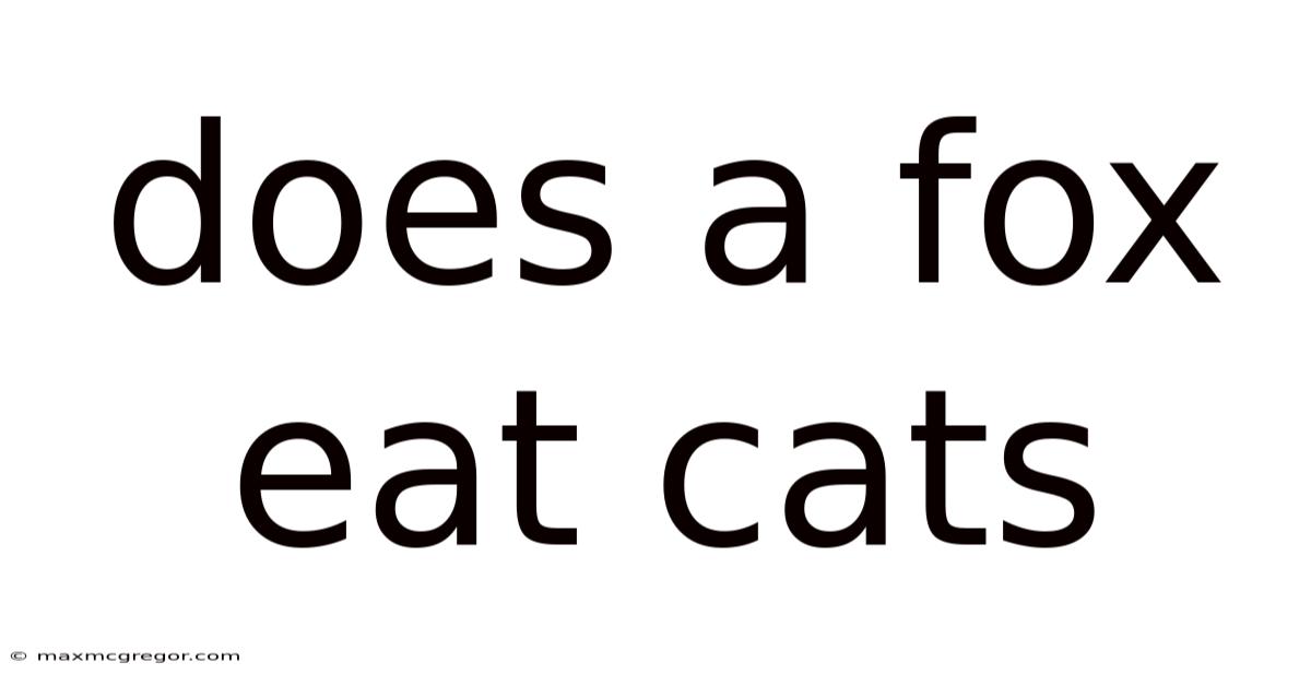 Does A Fox Eat Cats