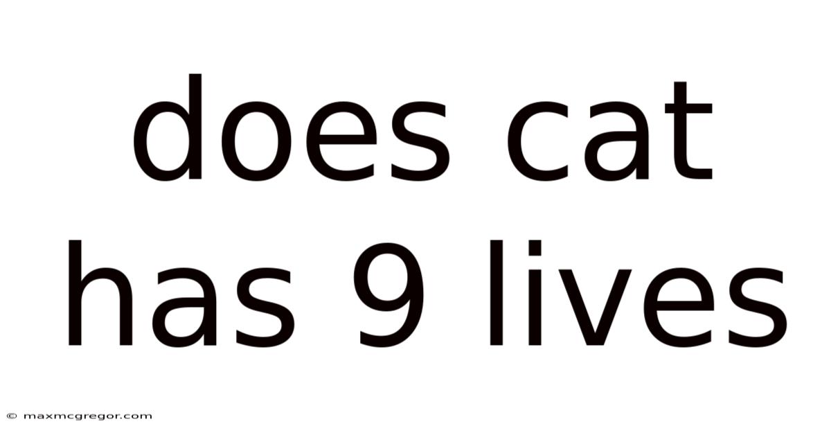 Does Cat Has 9 Lives