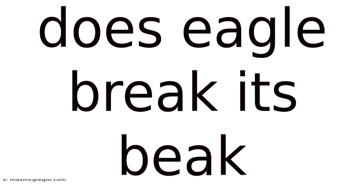 Does Eagle Break Its Beak
