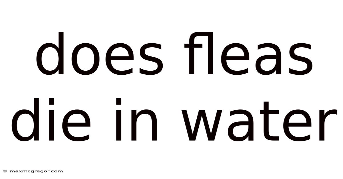 Does Fleas Die In Water