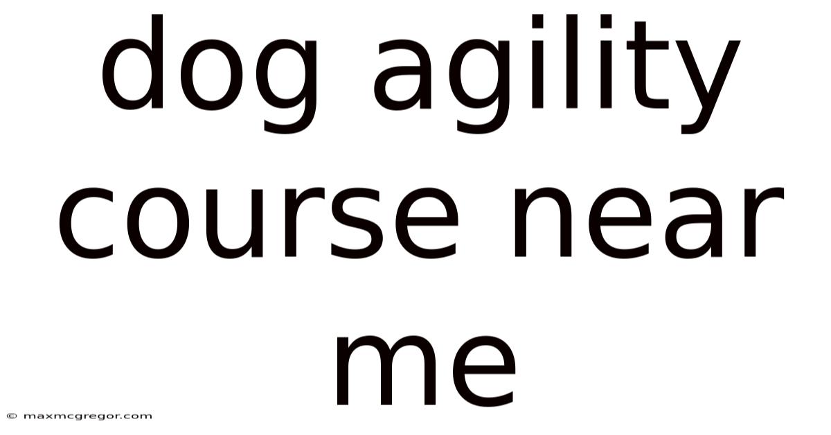 Dog Agility Course Near Me