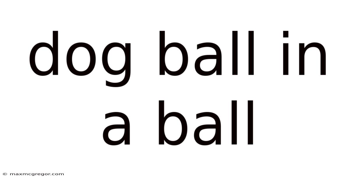 Dog Ball In A Ball