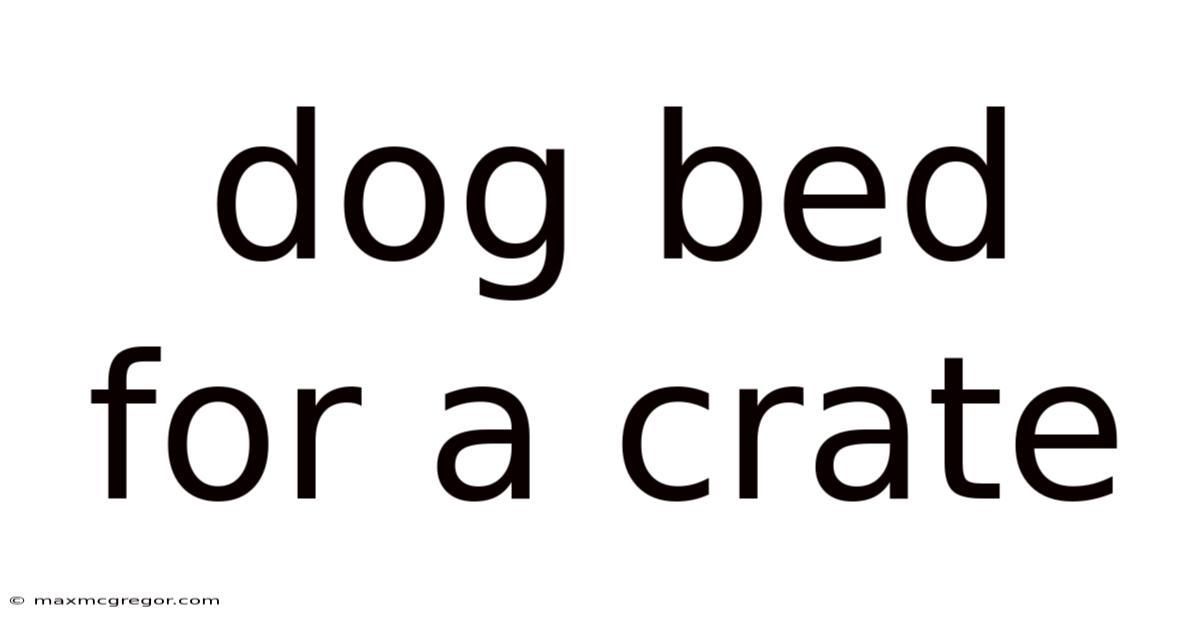 Dog Bed For A Crate