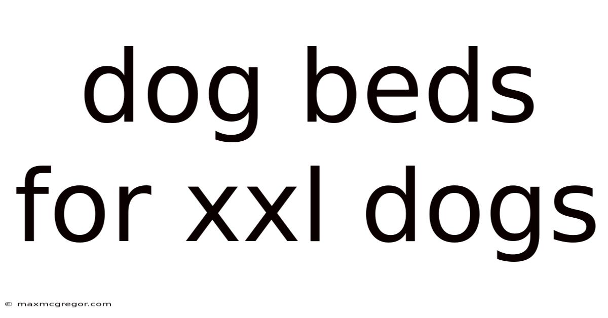 Dog Beds For Xxl Dogs