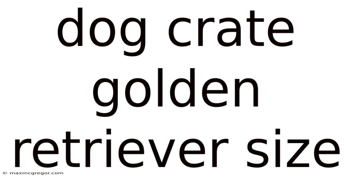Dog Crate Golden Retriever Size