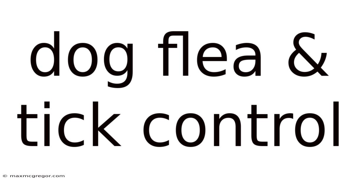 Dog Flea & Tick Control