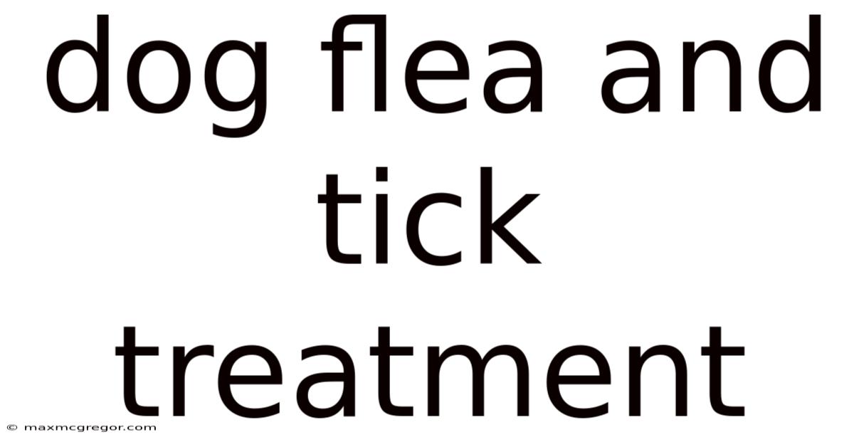 Dog Flea And Tick Treatment