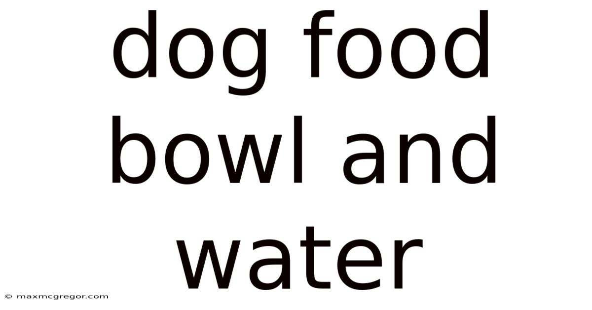Dog Food Bowl And Water