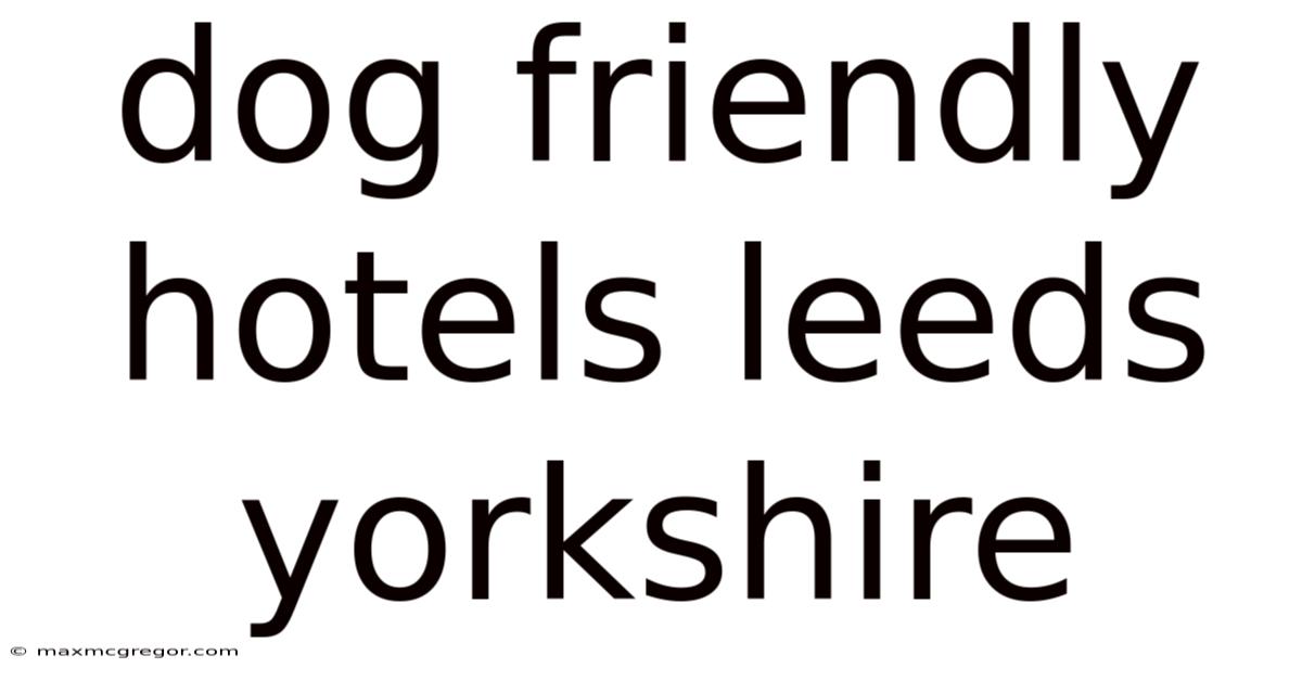 Dog Friendly Hotels Leeds Yorkshire