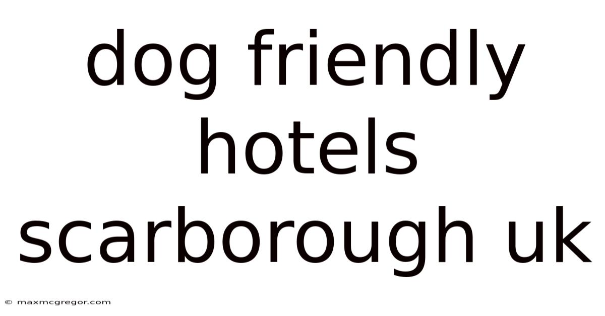 Dog Friendly Hotels Scarborough Uk