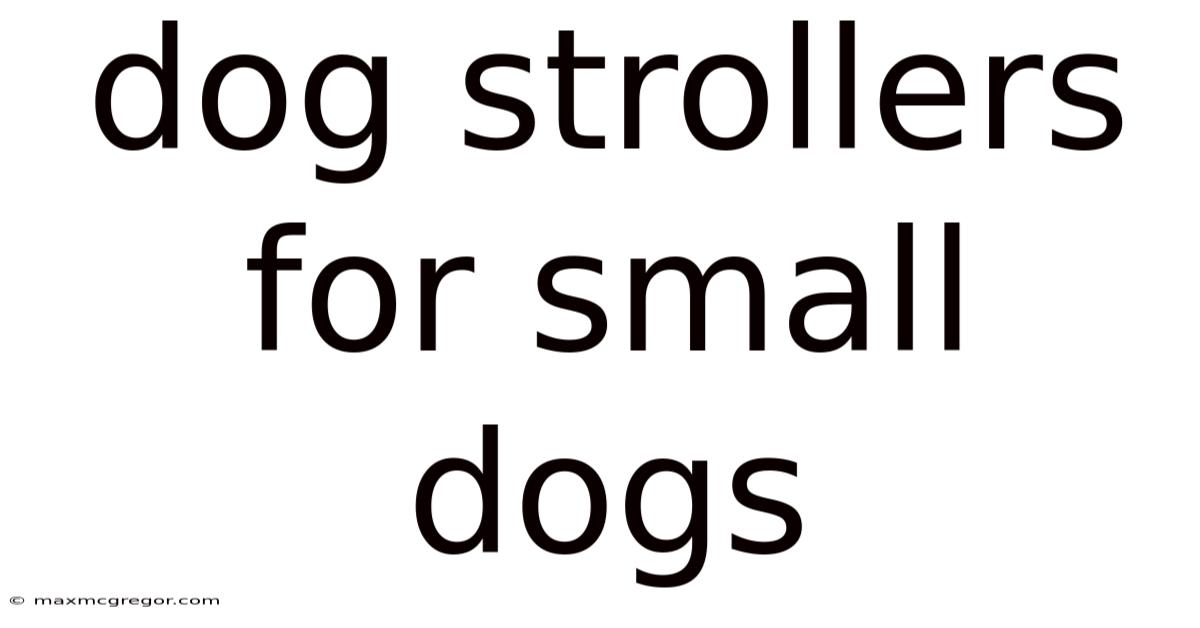 Dog Strollers For Small Dogs