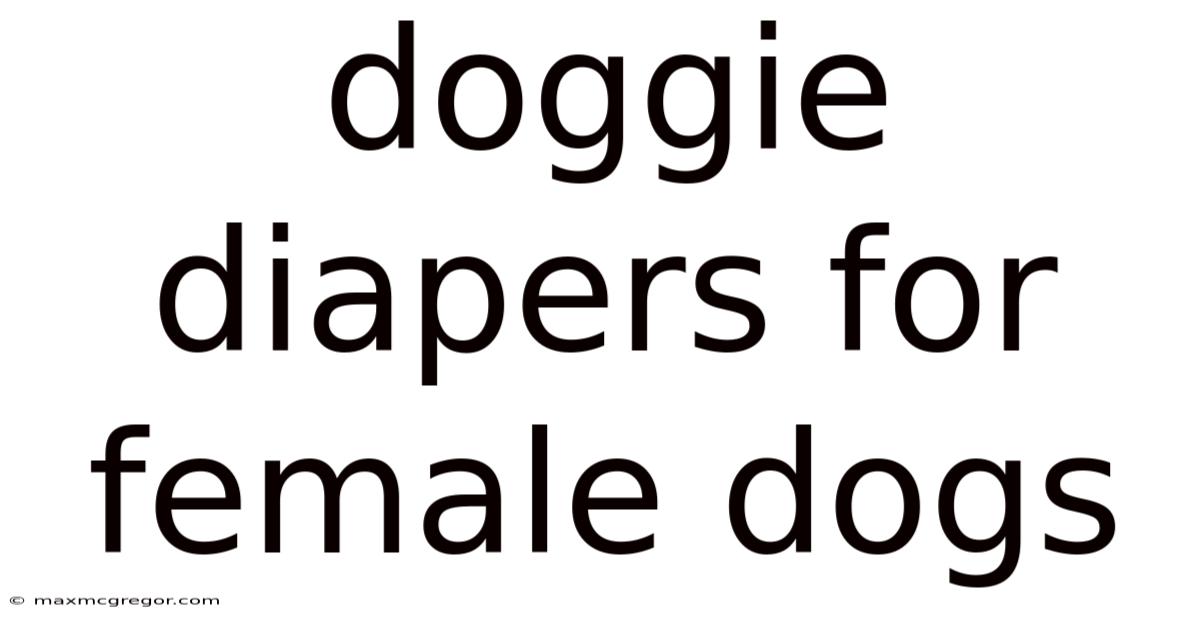 Doggie Diapers For Female Dogs