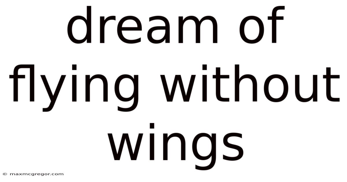 Dream Of Flying Without Wings