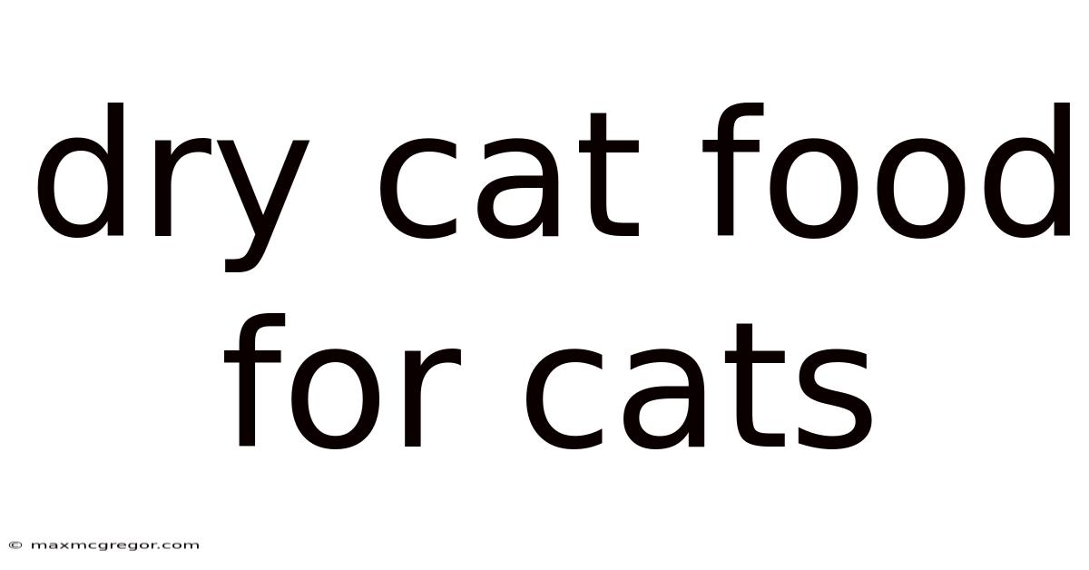 Dry Cat Food For Cats