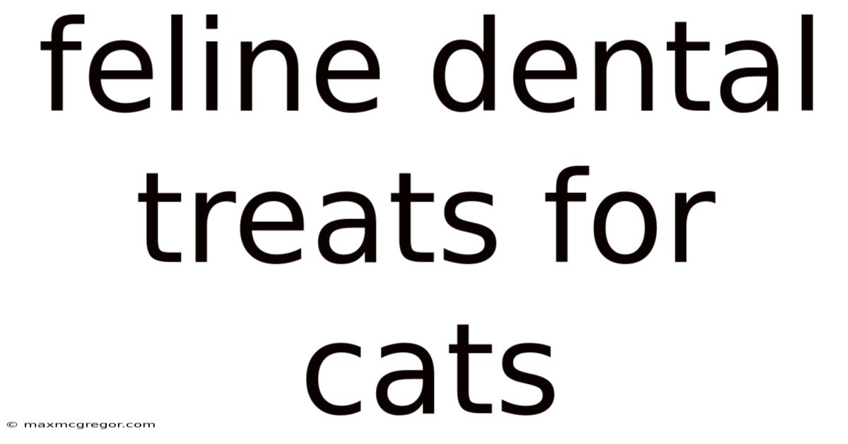 Feline Dental Treats For Cats