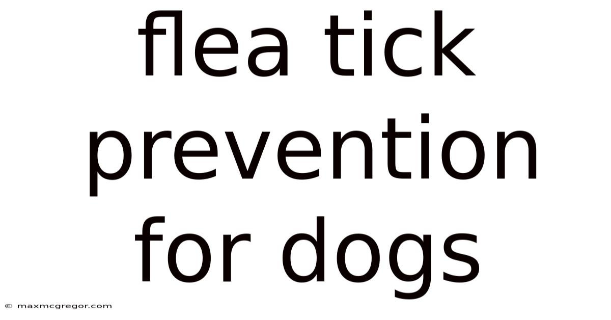 Flea Tick Prevention For Dogs